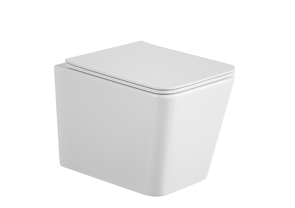 Wall-hung Toilet
